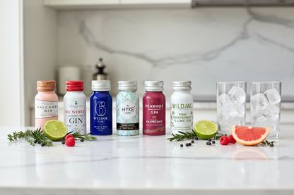 aluminibar® craft gin Collection | 6 × 5cl